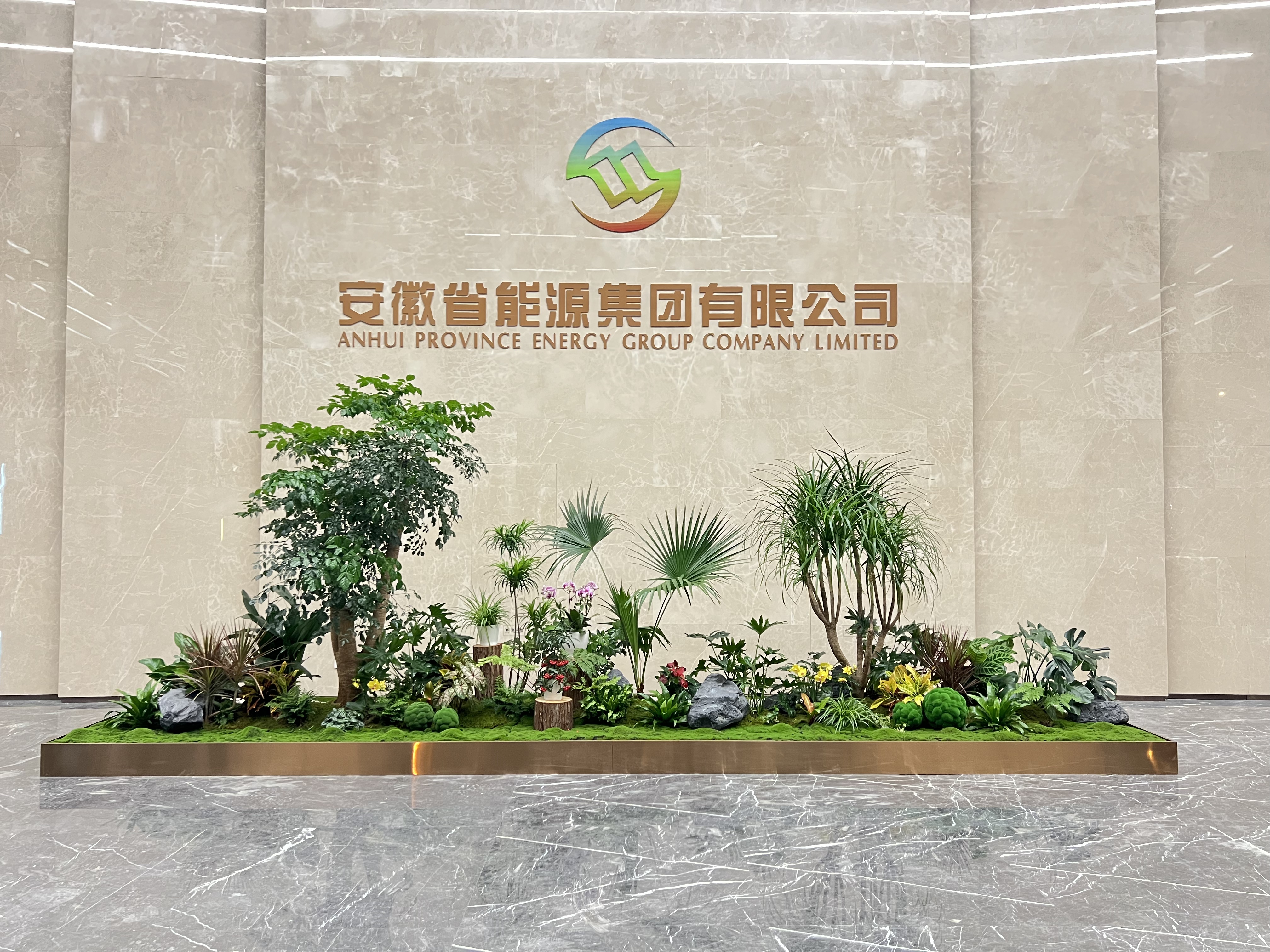 体验宁波镇海花卉出租设计，畅享花卉艺术之旅